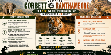Compare Corbett and Ranthambore for a 5 Day Wildlife Photography Trip in November on a 50K Budget