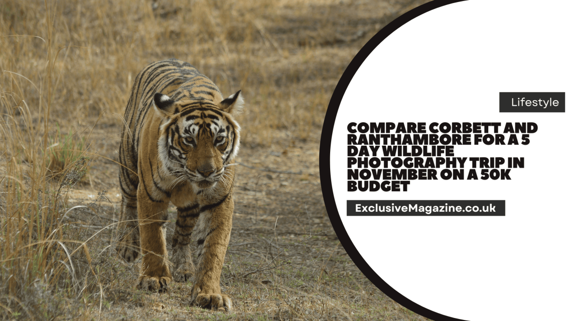 Compare Corbett and Ranthambore for a 5 Day Wildlife Photography Trip in November on a 50K Budget