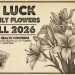 Joy Luck Dried Lily Flowers Recall