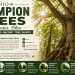 Ohio Champion Trees Lewis Center Ohio