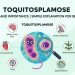 Toquitosplamose