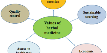 The Value Of Experience In Plant Medicine Guidance