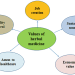 The Value Of Experience In Plant Medicine Guidance