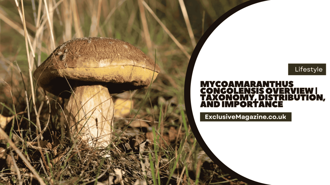 Mycoamaranthus Congolensis