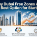 Why Dubai Free Zones Are the Best Option for Startups