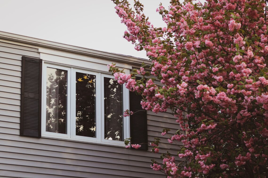 Finding Peace of Mind with Zen Windows Colorado Springs