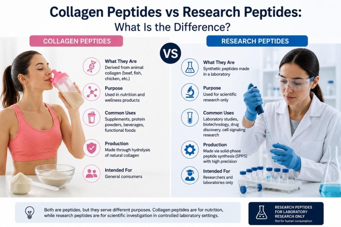 Collagen Peptides vs Research Peptides: What Is the Difference?