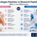 Collagen Peptides vs Research Peptides: What Is the Difference?