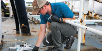 How Expert Engineering Investigations Help Prevent Structural Failures