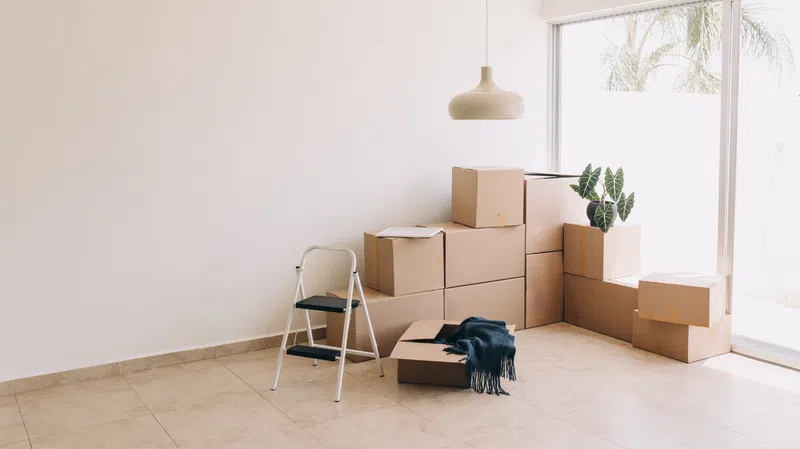 Moving Out Reveals Hidden Condition of Rental Homes